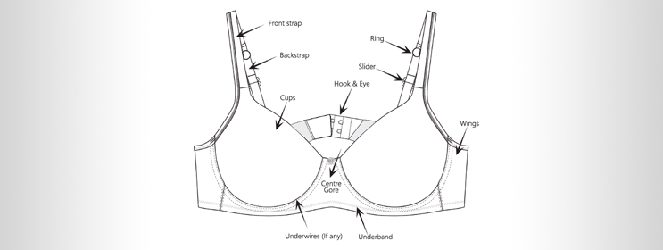 Aware of the BRA PARTS and their ROLEs - The Importance of a Well