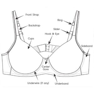 Bra Size Chart India Explore The List Of Bra Sizes Clovia