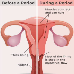 What is a period