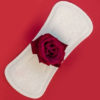 11 Common Menstruation Myths Debunked