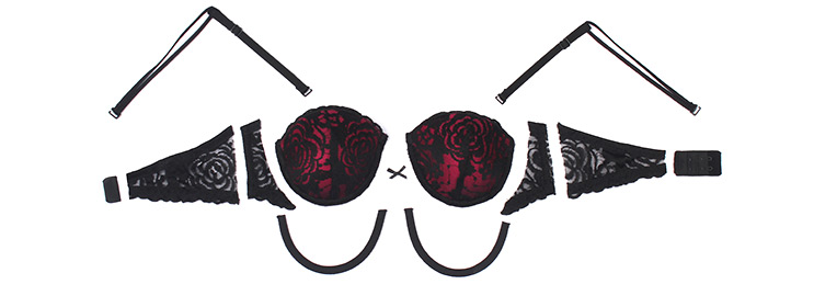 Learn the Subtle Art of Step-by-Step Deconstructing a Bra