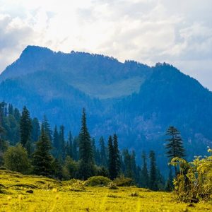 chopta as honeymoon desitination