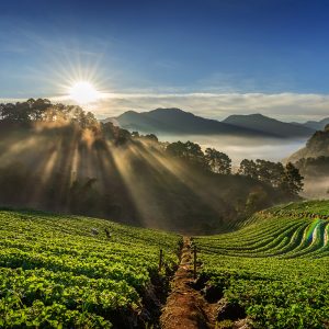 ooty as honeymoon desitination