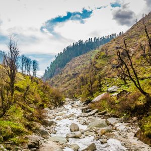 ziro valley as honeymoon desitination