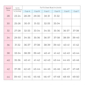 bra size chart