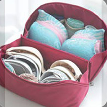 Bra cases